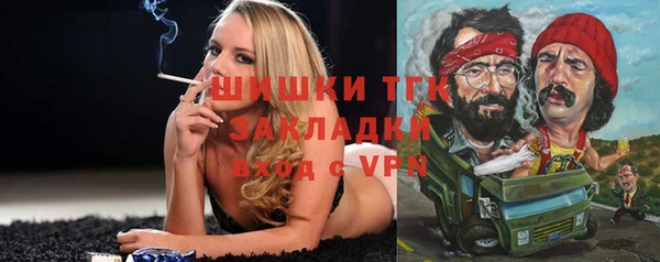 шишки Елабуга
