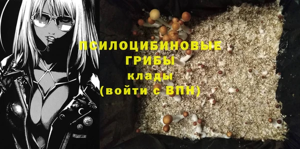 марки nbome Ельня