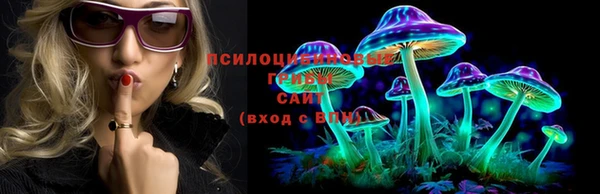 шишки Елабуга