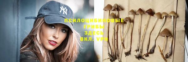 твердый Елизово