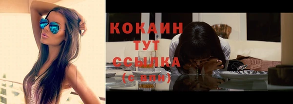 шишки Елабуга