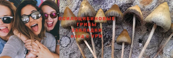 твердый Елизово