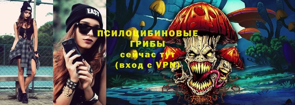 твердый Елизово