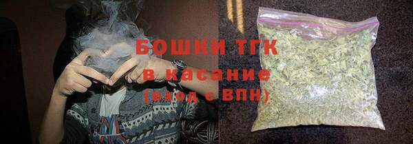 твердый Елизово