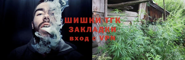 твердый Елизово