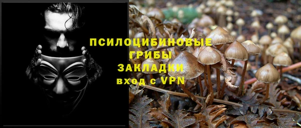 марки nbome Ельня
