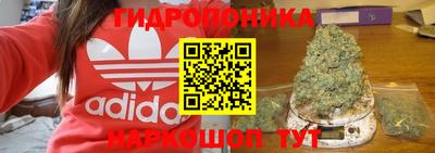 a pvp Волгодонск