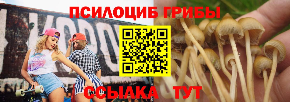 Галлюциногенные грибы Psilocybe  Галлюциногенные грибы MAGIC MUSHROOMS  Всеволожск 