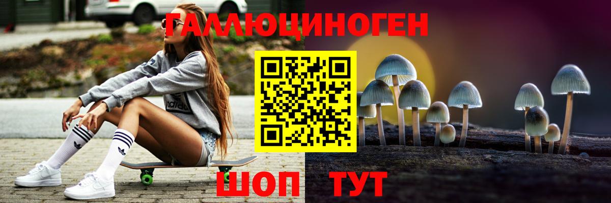 Галлюциногенные грибы Cubensis  Вход с VPN  Всеволожск 